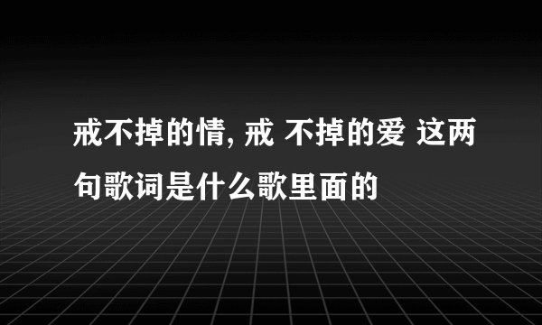 戒不掉的情, 戒 不掉的爱 这两句歌词是什么歌里面的