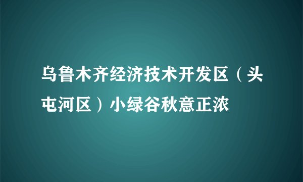 乌鲁木齐经济技术开发区（头屯河区）小绿谷秋意正浓