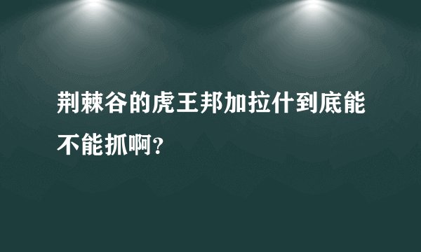 荆棘谷的虎王邦加拉什到底能不能抓啊？