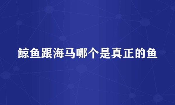 鲸鱼跟海马哪个是真正的鱼