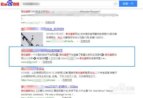 镜像站群如何做出排名_009站群快速收录排名方法