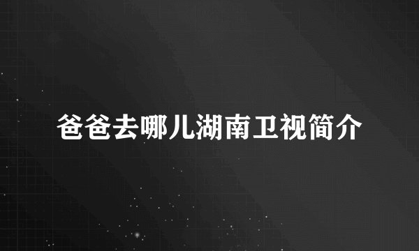 爸爸去哪儿湖南卫视简介