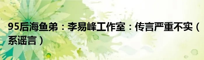 95后海鱼弟：李易峰工作室：传言严重不实（系谣言）
