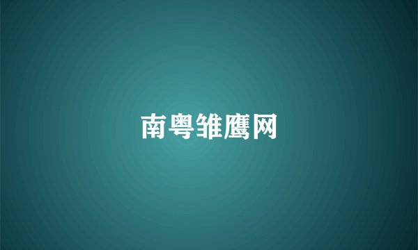 南粤雏鹰网
