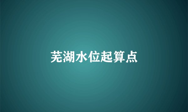 芜湖水位起算点