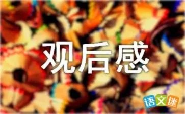 科学启示录观后感