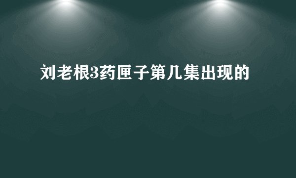 刘老根3药匣子第几集出现的
