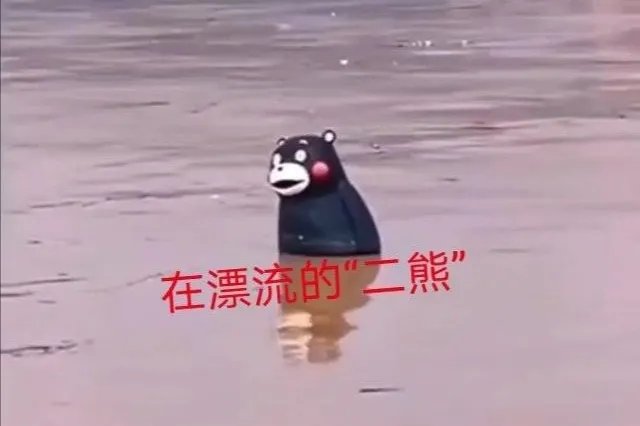 漂流的熊本熊还有一只没回家,为什么网友申请去下游寻找?