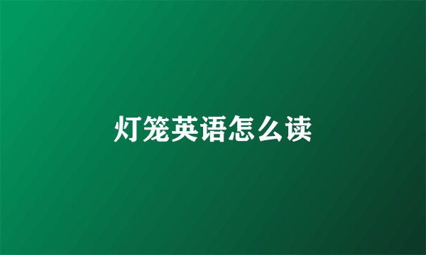 灯笼英语怎么读