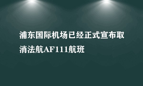 浦东国际机场已经正式宣布取消法航AF111航班