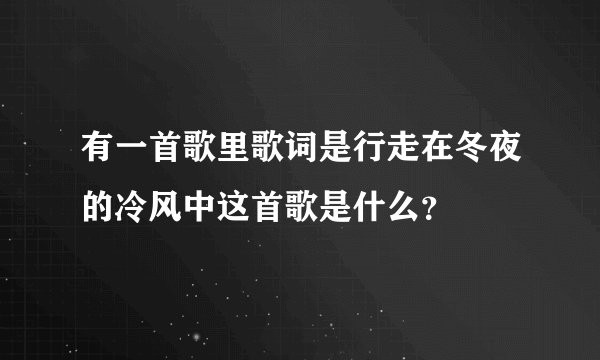 有一首歌里歌词是行走在冬夜的冷风中这首歌是什么？