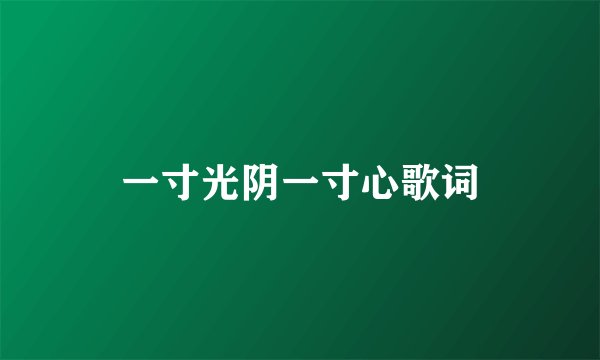 一寸光阴一寸心歌词