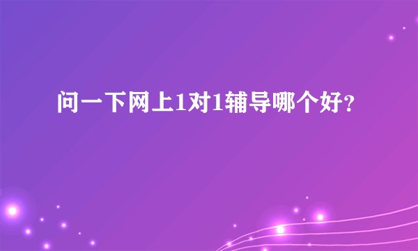 问一下网上1对1辅导哪个好？