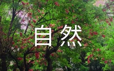 让真情自然流露作文250字