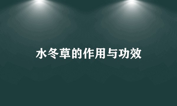 水冬草的作用与功效