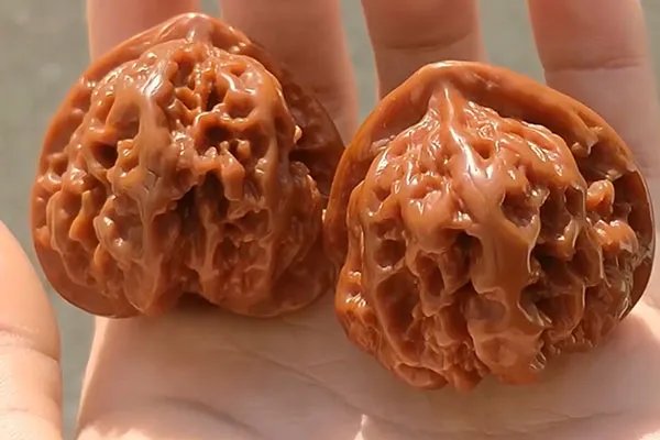 盘是什么意思