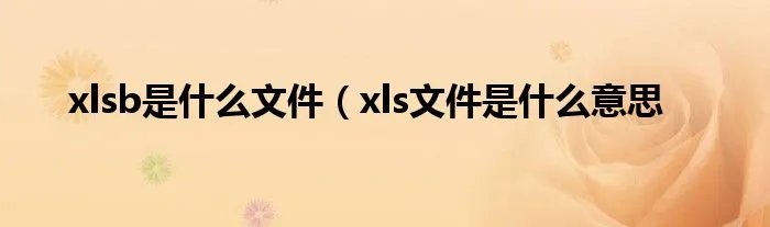 xlsb是什么文件（xls文件是什么意思
