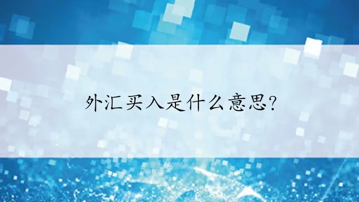 外汇买入是什么意思？