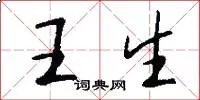 王生
