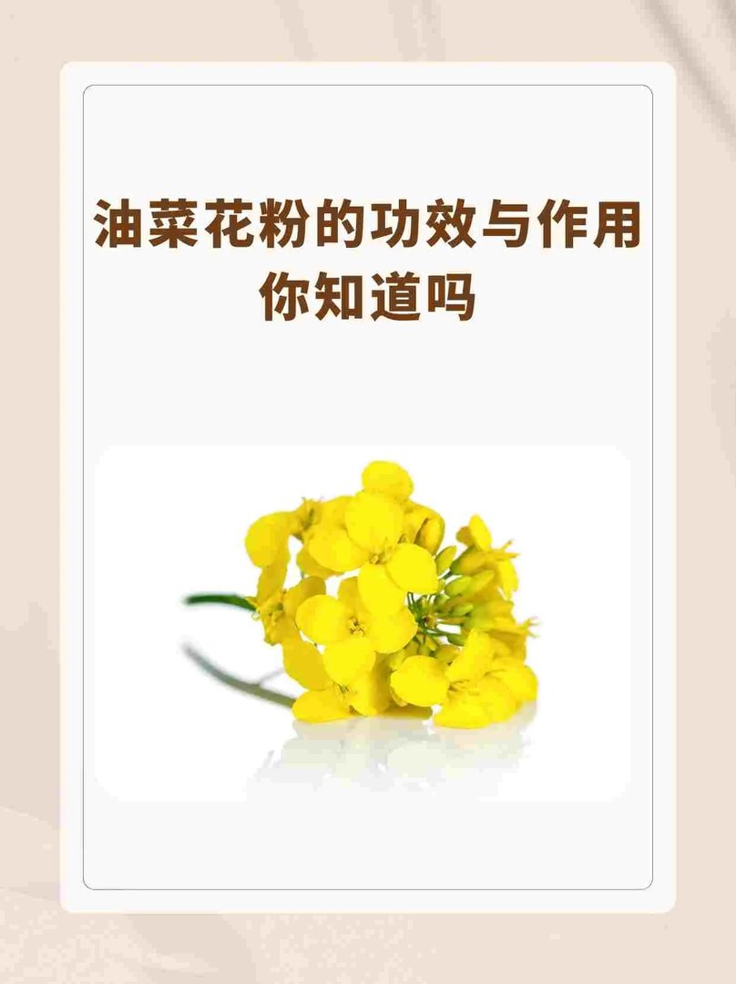 油菜花粉的功效与作用，你知道吗？