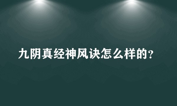 九阴真经神风诀怎么样的？