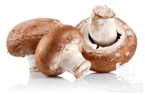 牛奶炖香菇做法是怎样的？