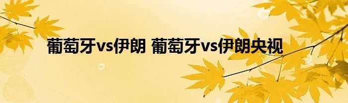 葡萄牙vs伊朗 葡萄牙vs伊朗央视