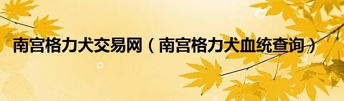 南宫格力犬交易网(南宫格力犬血统查询)