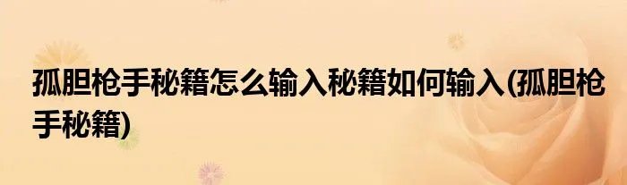孤胆枪手秘籍怎么输入秘籍如何输入(孤胆枪手秘籍)