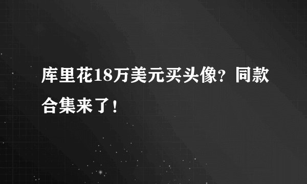 库里花18万美元买头像？同款合集来了！