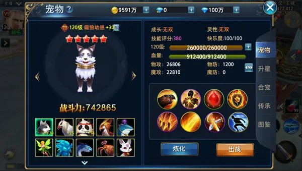宠物大全