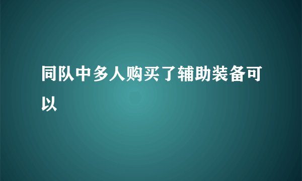 同队中多人购买了辅助装备可以
