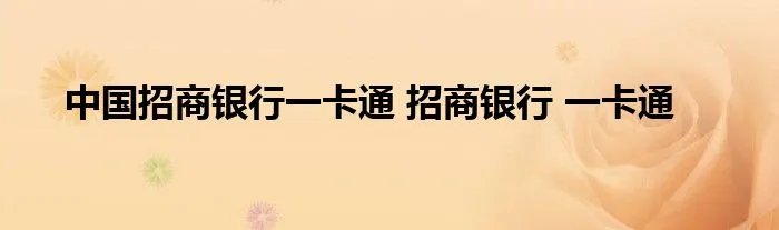 中国招商银行一卡通 招商银行 一卡通