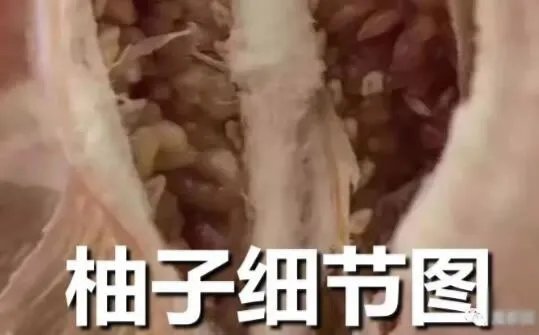 1118是什么意思?1118视频是什么你懂吗?
