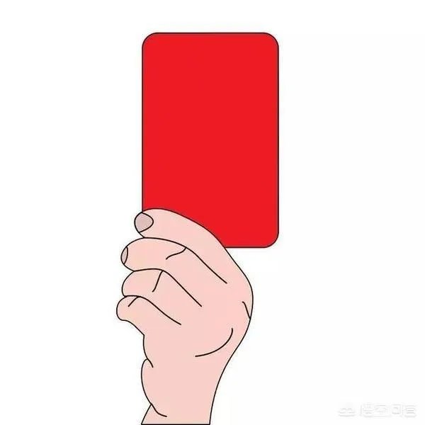足协在中超动员会上宣布2019赛季将推出职业裁判制度,你觉得这样能避免黑哨?