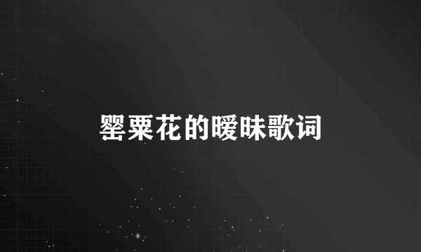 罂粟花的暧昧歌词