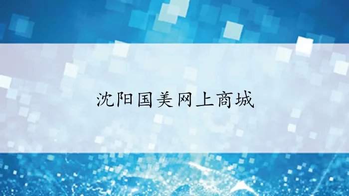 沈阳国美网上商城