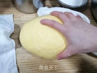 浪漫玫瑰