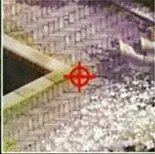 神武中秋活动月饼大战 线索坐标大分享