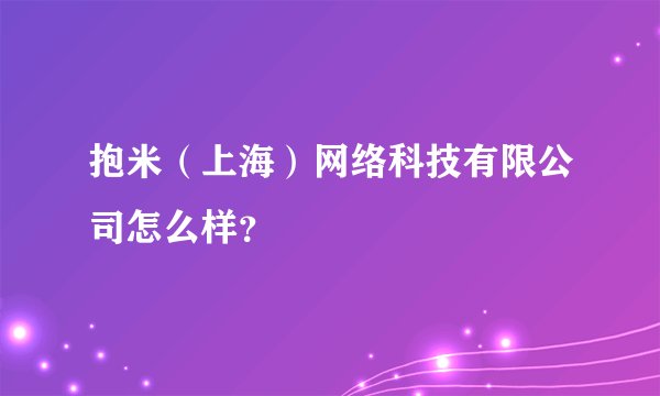 抱米（上海）网络科技有限公司怎么样？