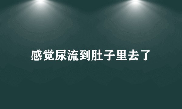 感觉尿流到肚子里去了