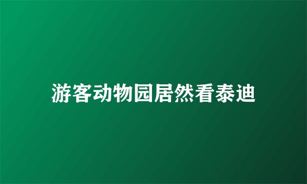 游客动物园居然看泰迪