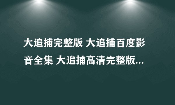 大追捕完整版 大追捕百度影音全集 大追捕高清完整版下载 大追捕高清下载