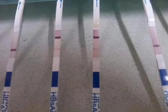 试纸两道杠图片