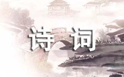咏梅的诗词