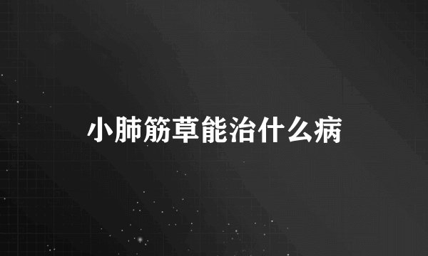 小肺筋草能治什么病