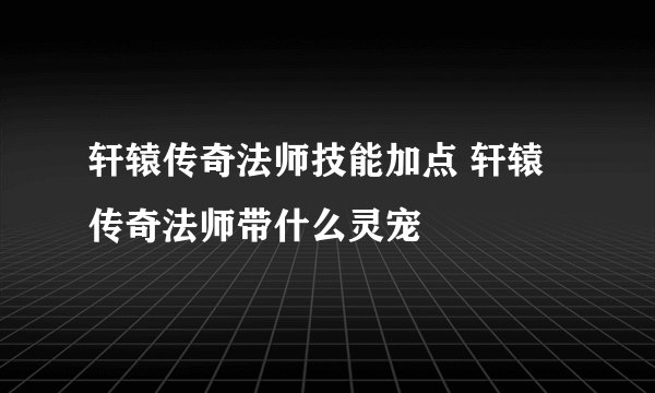 轩辕传奇法师技能加点 轩辕传奇法师带什么灵宠