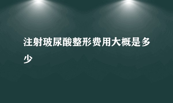 注射玻尿酸整形费用大概是多少