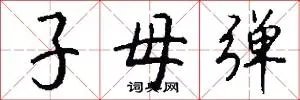 子母弹