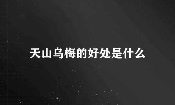 天山乌梅的好处是什么